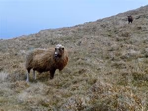 Cycling through landscapes