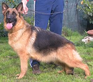 Great wall expeditions