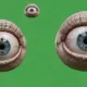 lp