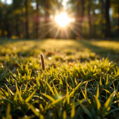touch the grass