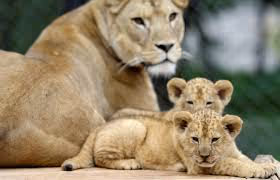 Championing equality for all