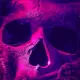 dhorror