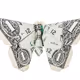 paperbutterfly