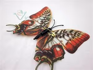 Green lifestyle adoption