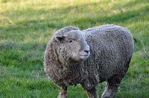 Sustainable living practices