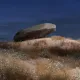 Stone