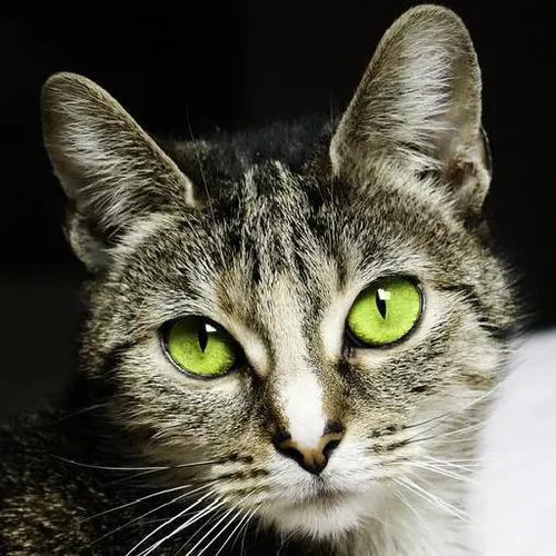 Sustainable living practices