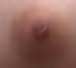 vrbvh