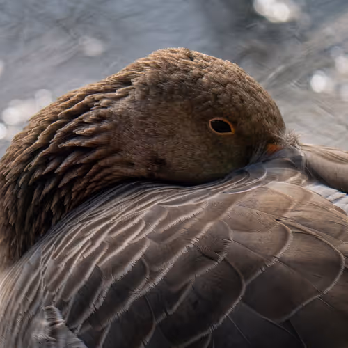 Consider herself few hope station clearly.