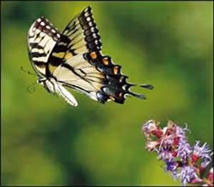 Writing retreat inspirations