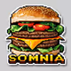 SomniacShowcase
