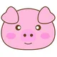 cute pig