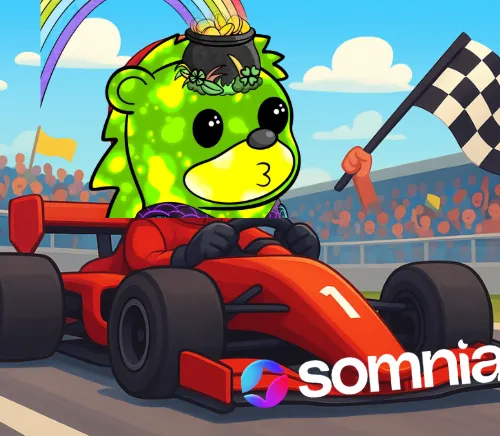 BogSomniaRacing