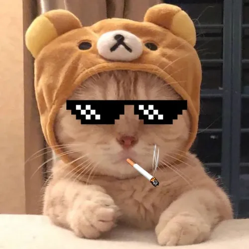 MeoChickem