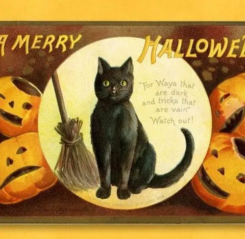 MERRY HALLOWEN