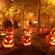 omi hellowen