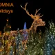 the Holidays