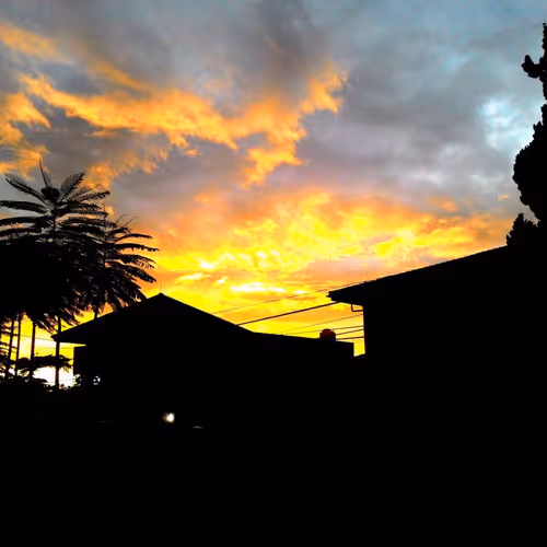 SENJA3