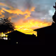 SENJA3