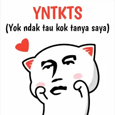 ynkts