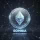 Simniac Z