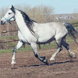 Team building retreats