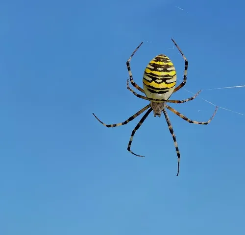 Underwater hotel experiences