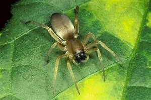 Great wall expeditions