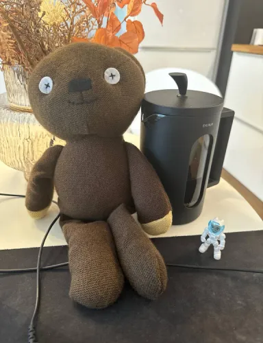 bear