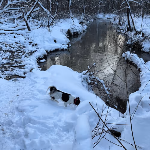 Winter river