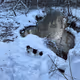 Winter river