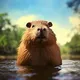 Capybara222
