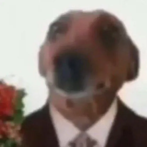 nbvhgf