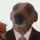 nbvhgf