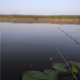 Catch a fish