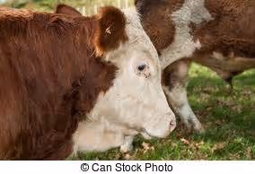 AI revolution unfolding