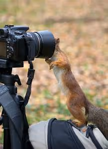 Volunteer travel experiences