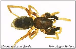 Multicultural immersion journey