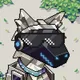 Capy