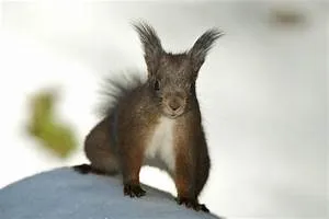 Gastronomic adventures abroad