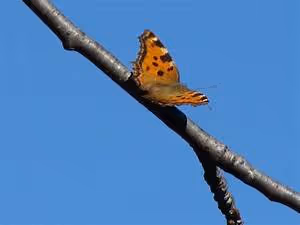 Empowering minds worldwide