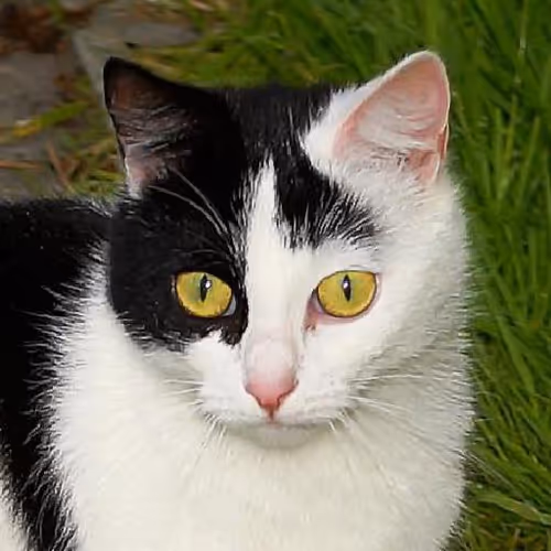 Emotional intelligence seminars