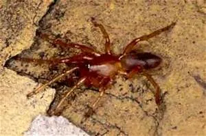 AI revolution unfolding