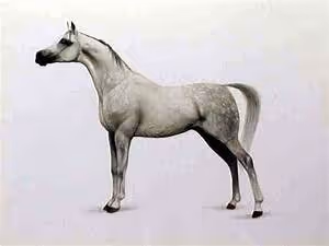 Culinary skills honed