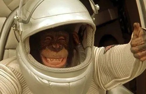 Project monkey