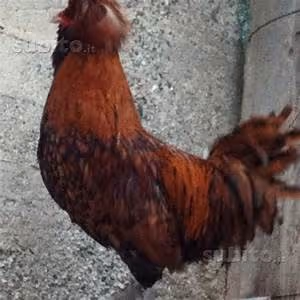 Structural design wonders