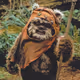 qui