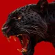 RAGE