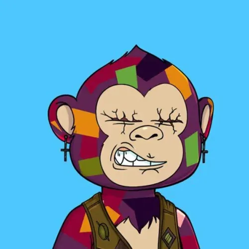 Patchwork Primate