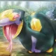 Roloi